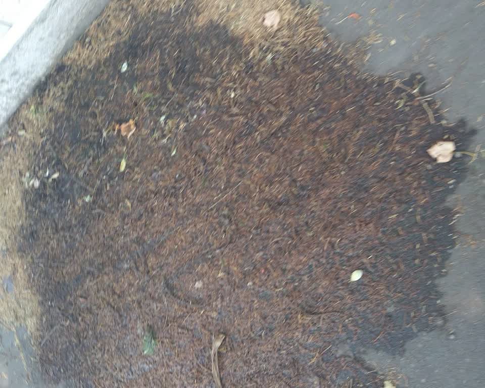 The photograph attached to this water leak report