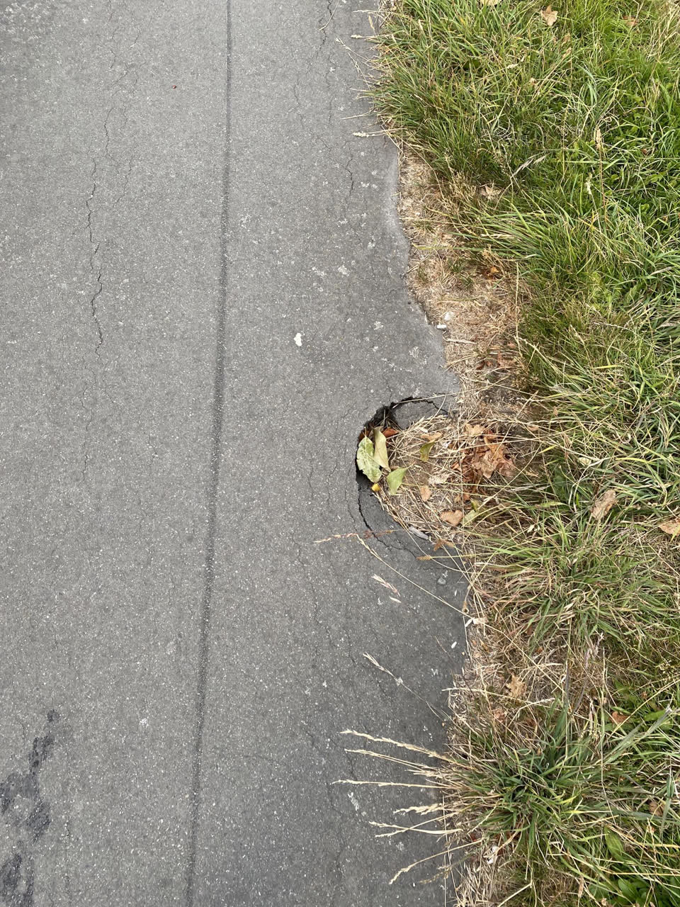 The photograph attached to this roading/streets report