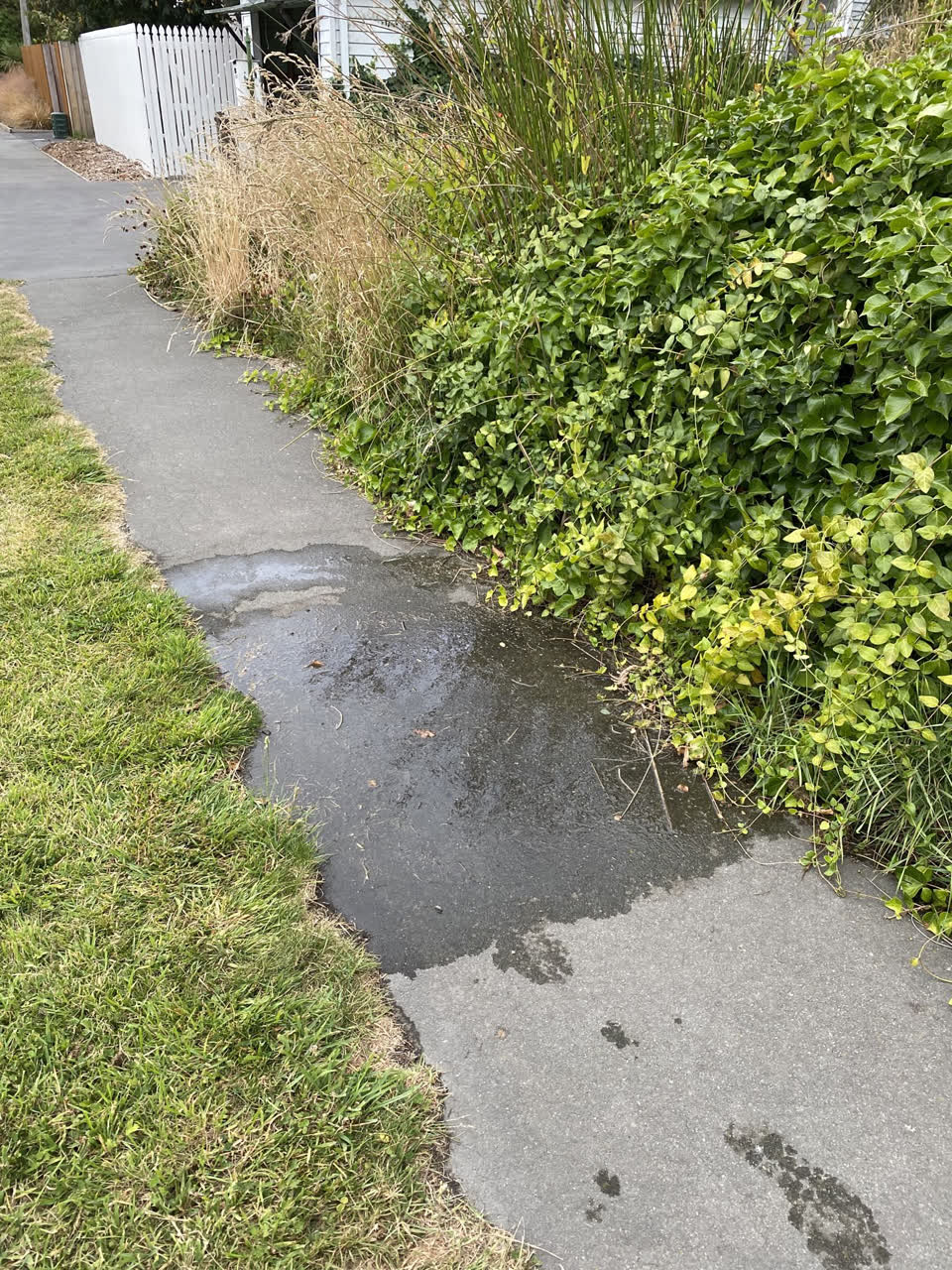 The photograph attached to this water leak report