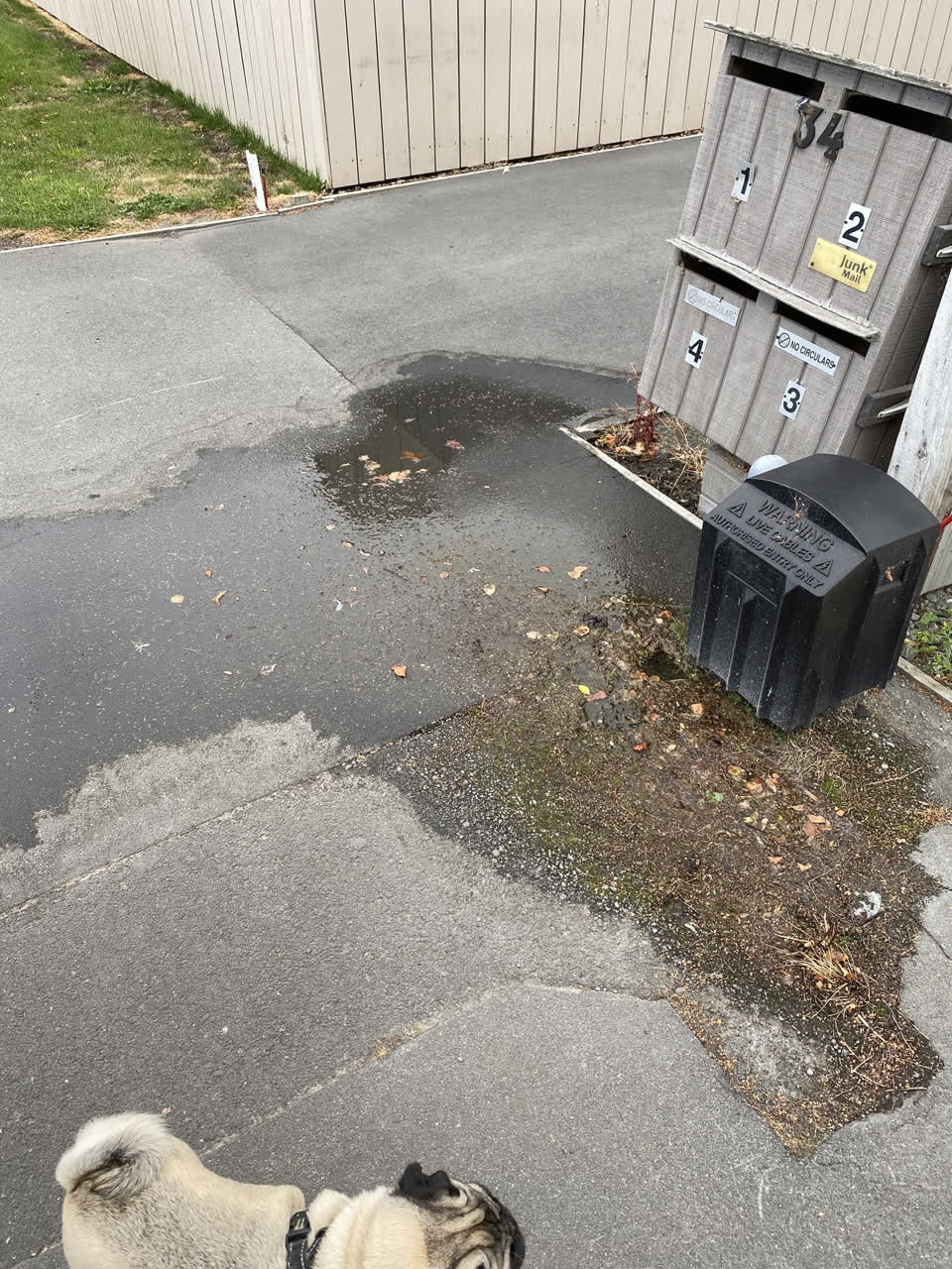The photograph attached to this water leak report