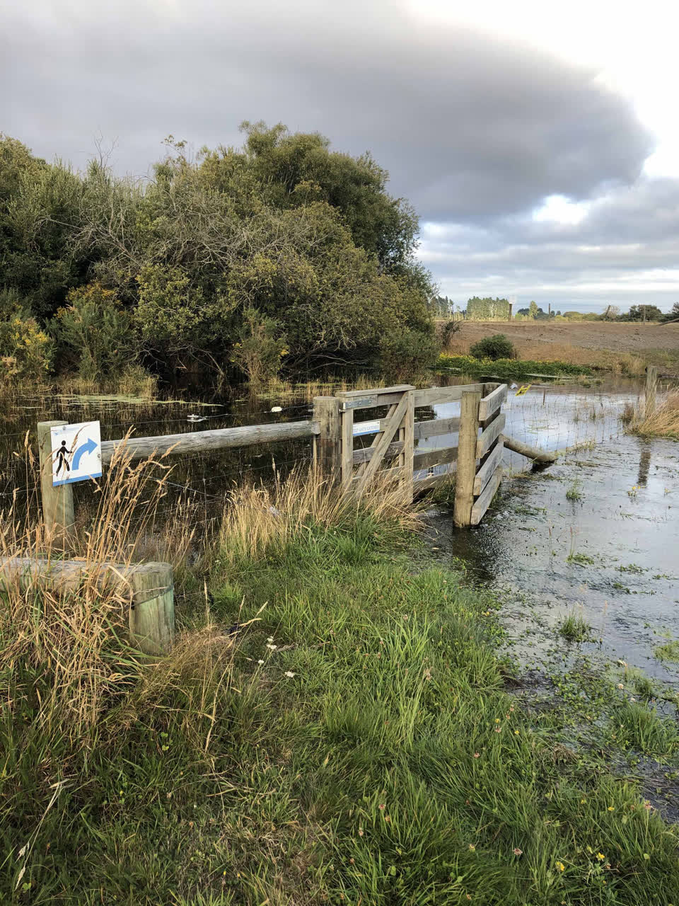 The photograph attached to this parks report