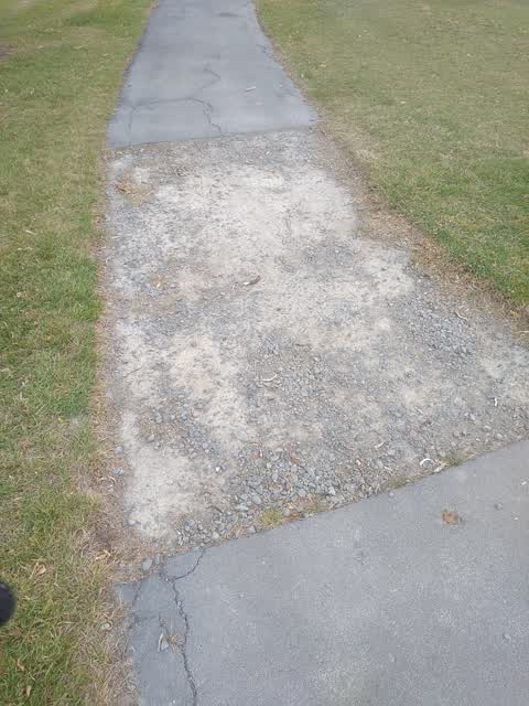 Parks, a report photo