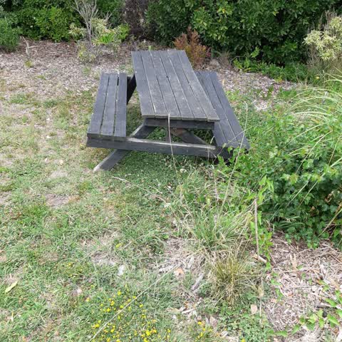 Parks — a report photo