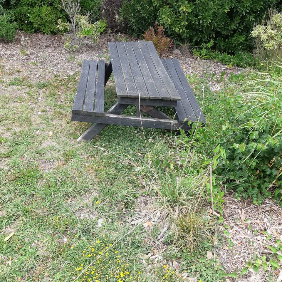 The photograph attached to this parks report