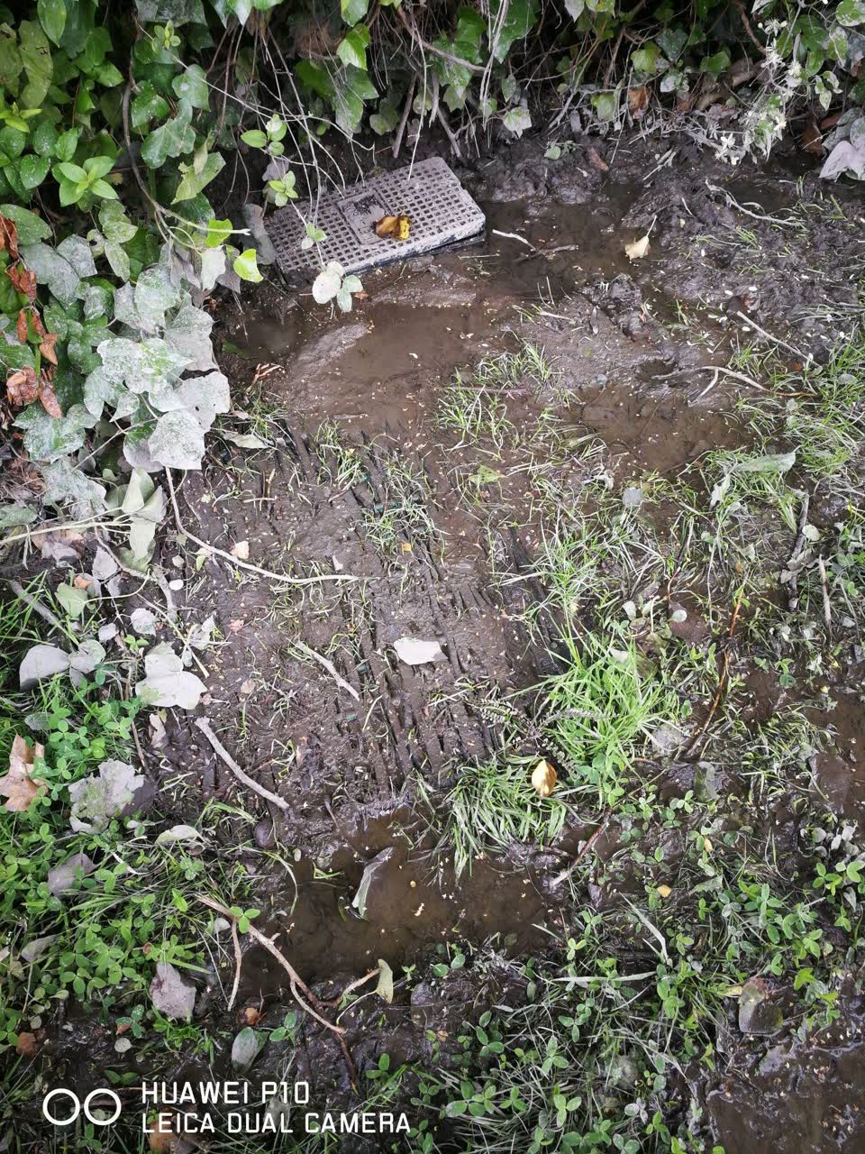 The photograph attached to this water leak report