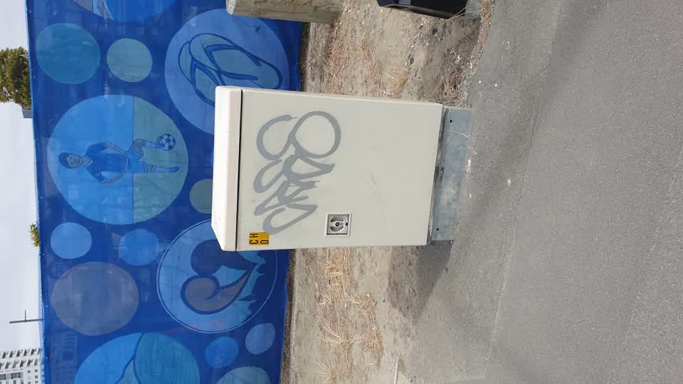 The photograph attached to this graffiti report