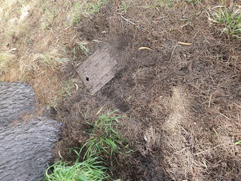 Water Leak, a report photo
