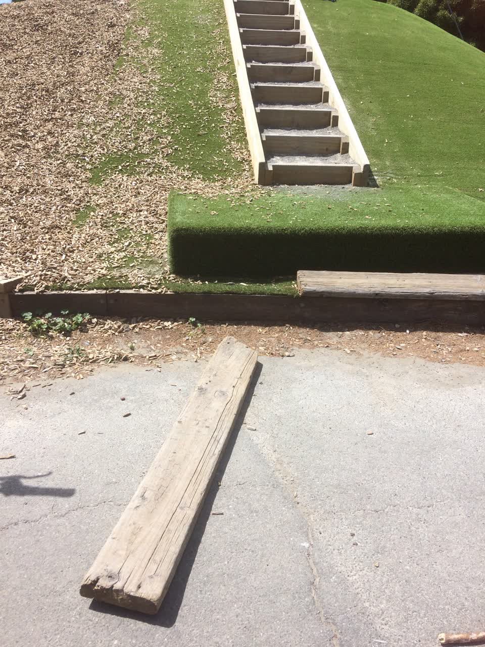 The photograph attached to this parks report