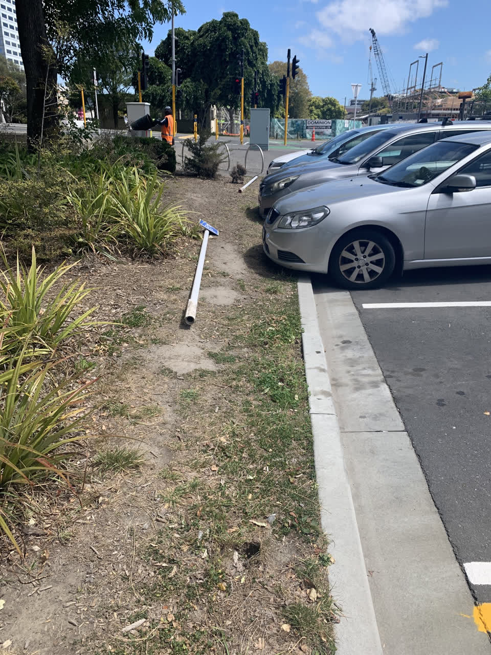 The photograph attached to this parks report