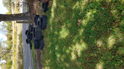 Rubbish/Recycling, a report photo