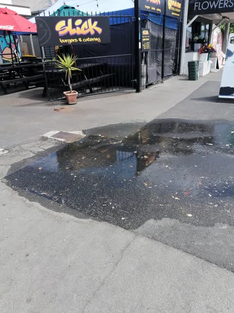 Water Leak, a report photo
