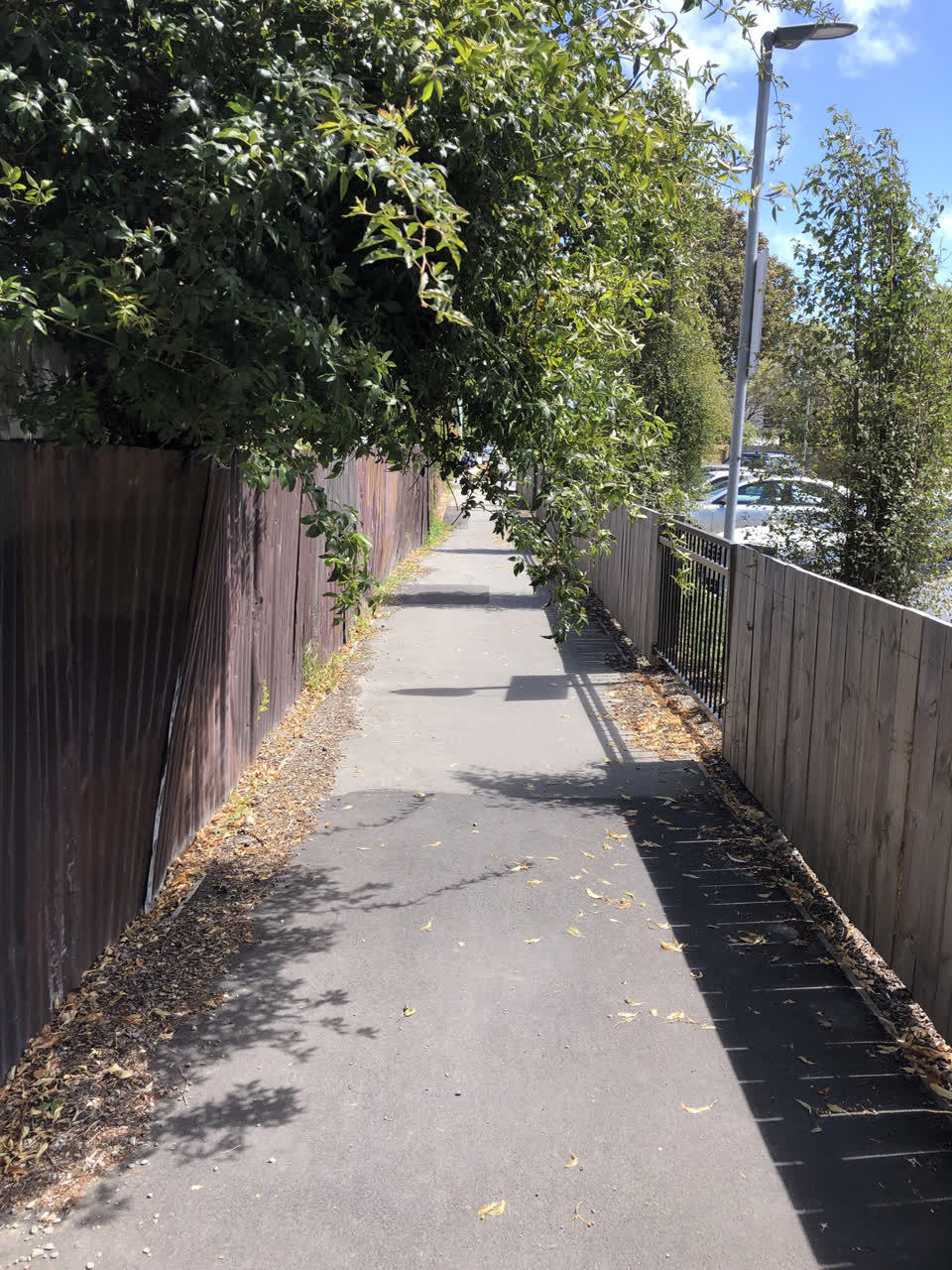 The photograph attached to this street light outage report