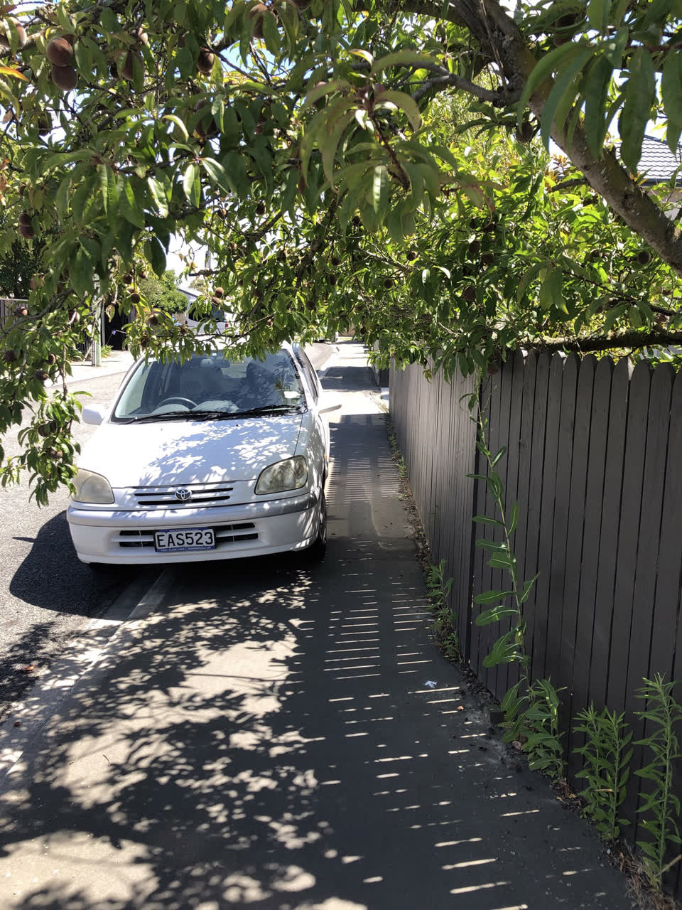 The photograph attached to this street light outage report