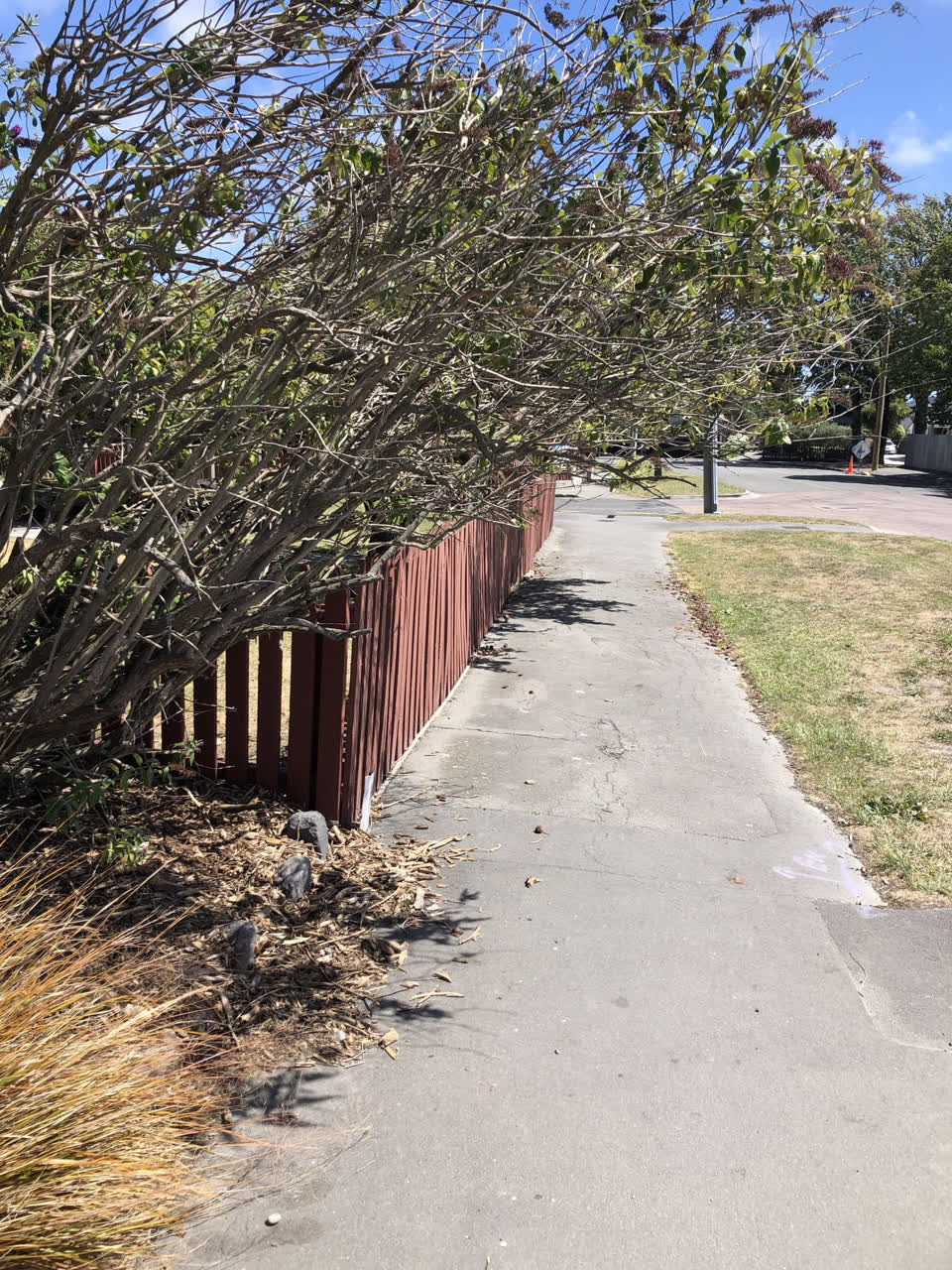 The photograph attached to this parks report