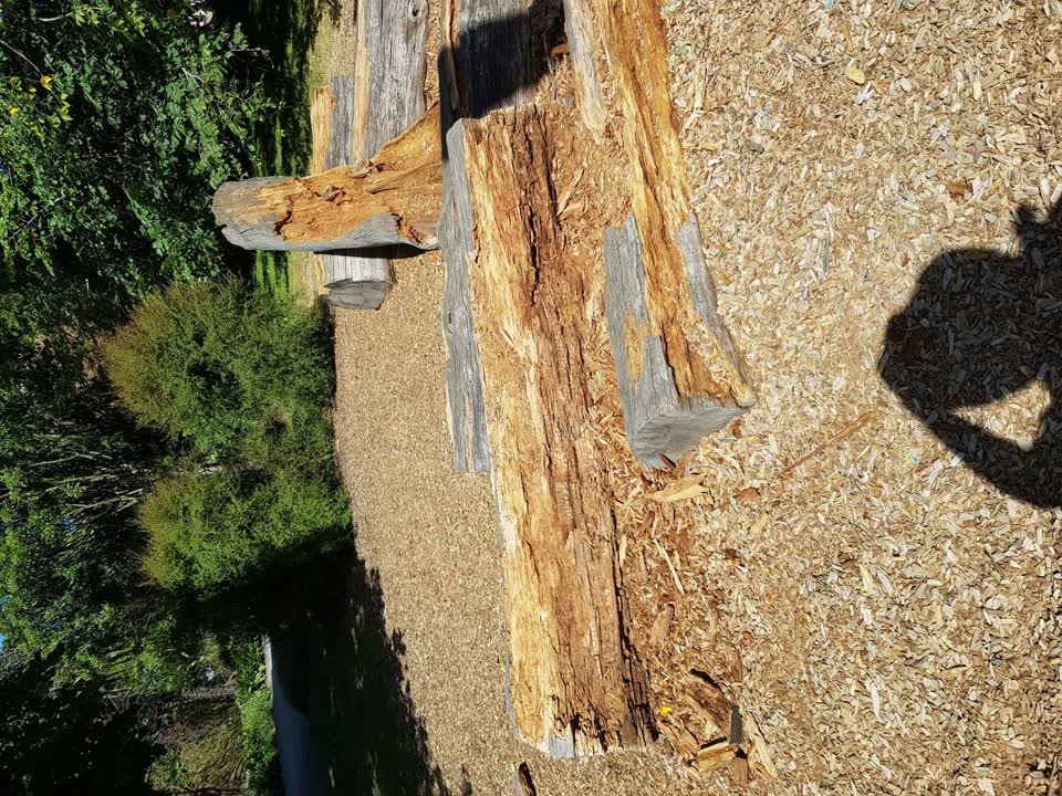 The photograph attached to this parks report