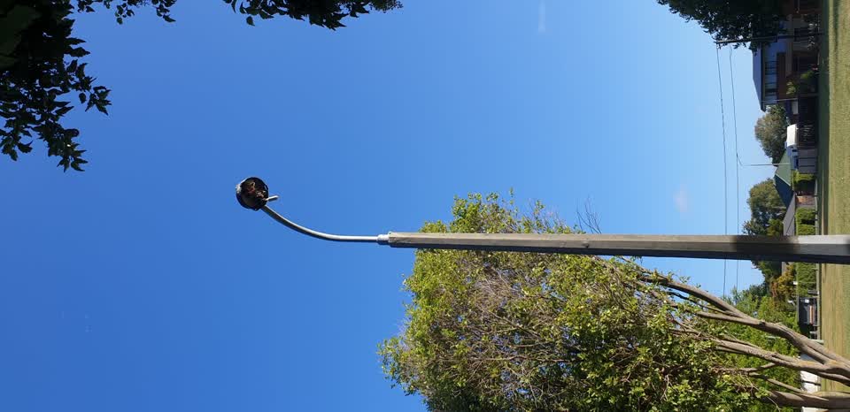 The photograph attached to this street light outage report