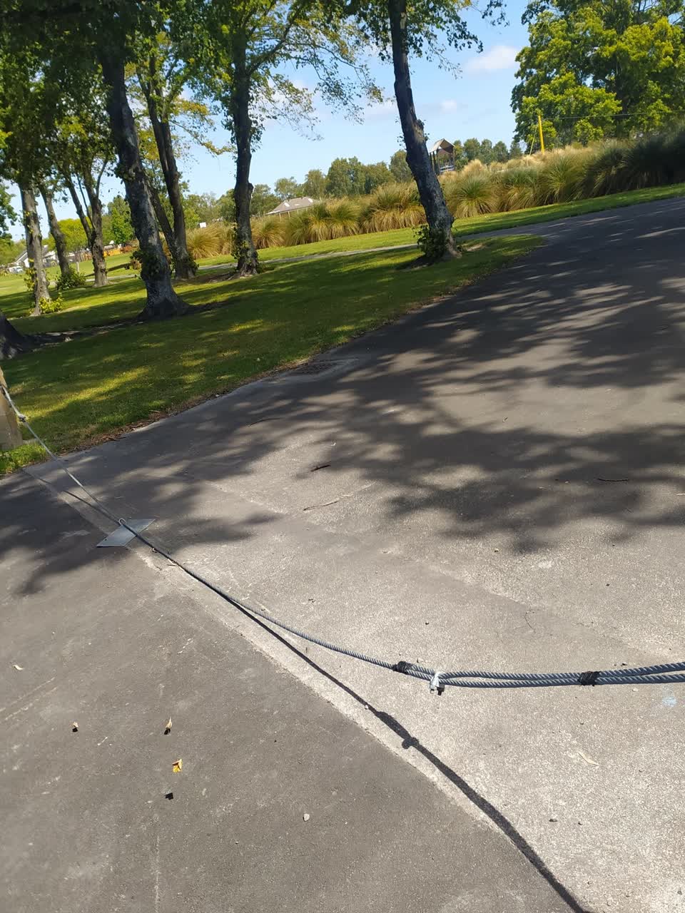 The photograph attached to this parks report