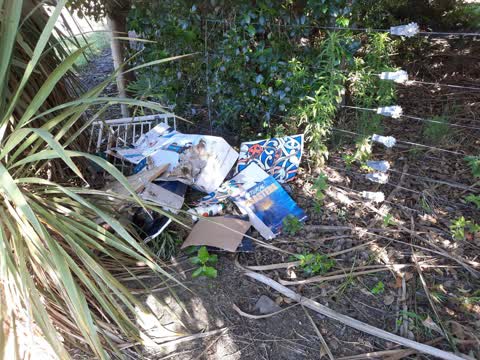 Rubbish/Recycling, a report photo