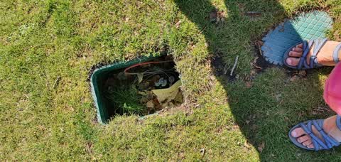 Parks, a report photo
