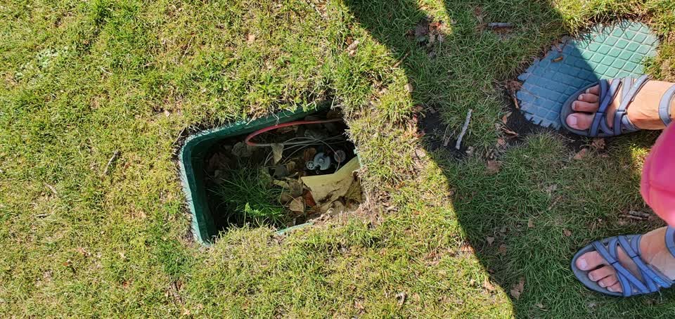 The photograph attached to this parks report