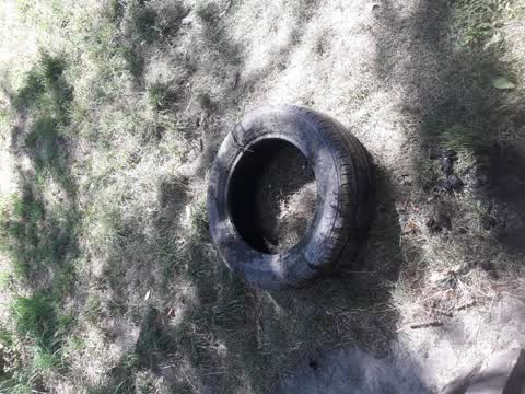 Parks, a report photo