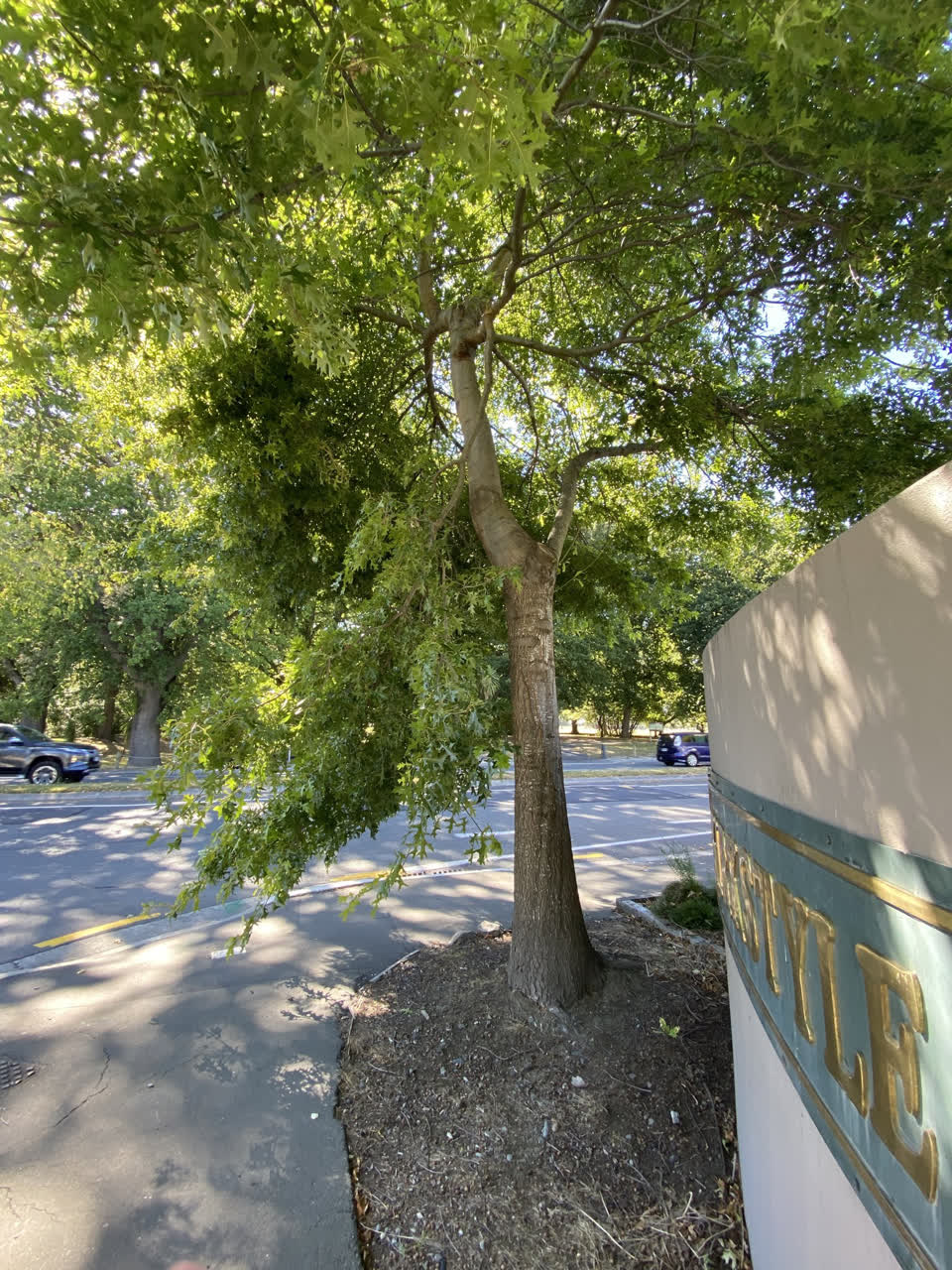 The photograph attached to this parks report