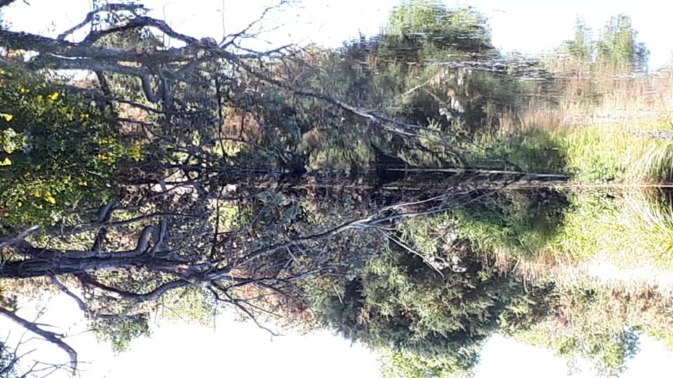 The photograph attached to this general request report