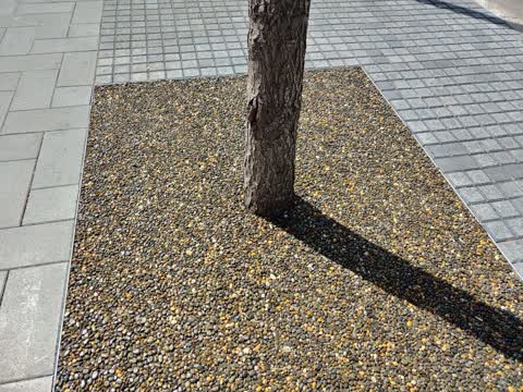 Roading/Streets, a report photo