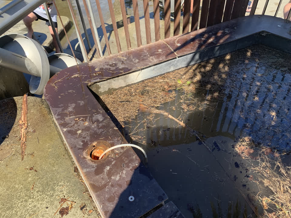 The photograph attached to this parks report