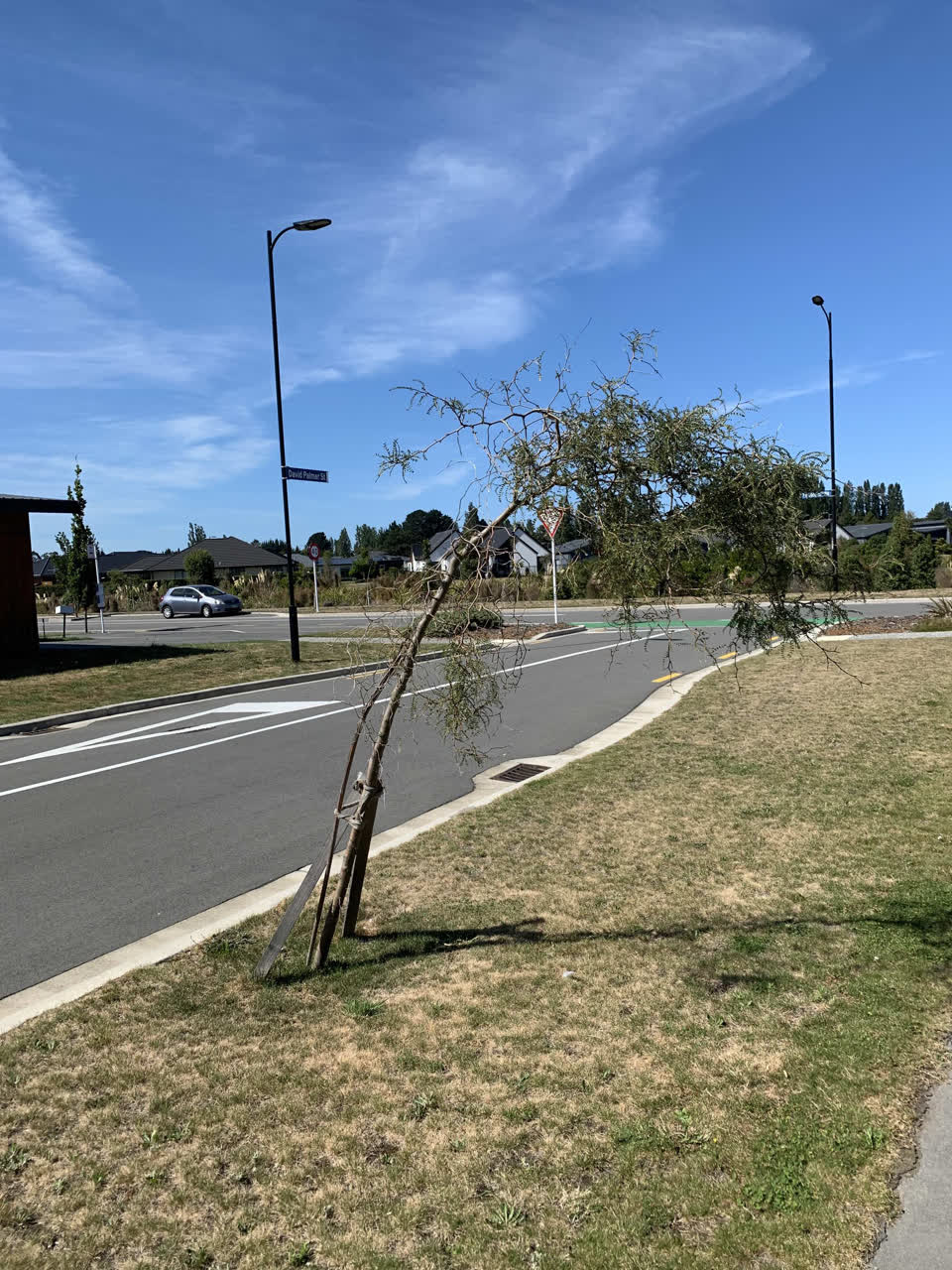 The photograph attached to this parks report