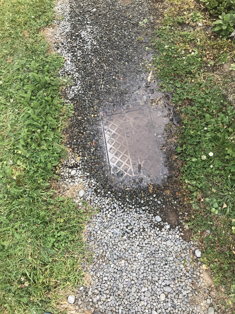 The photograph attached to this water leak report