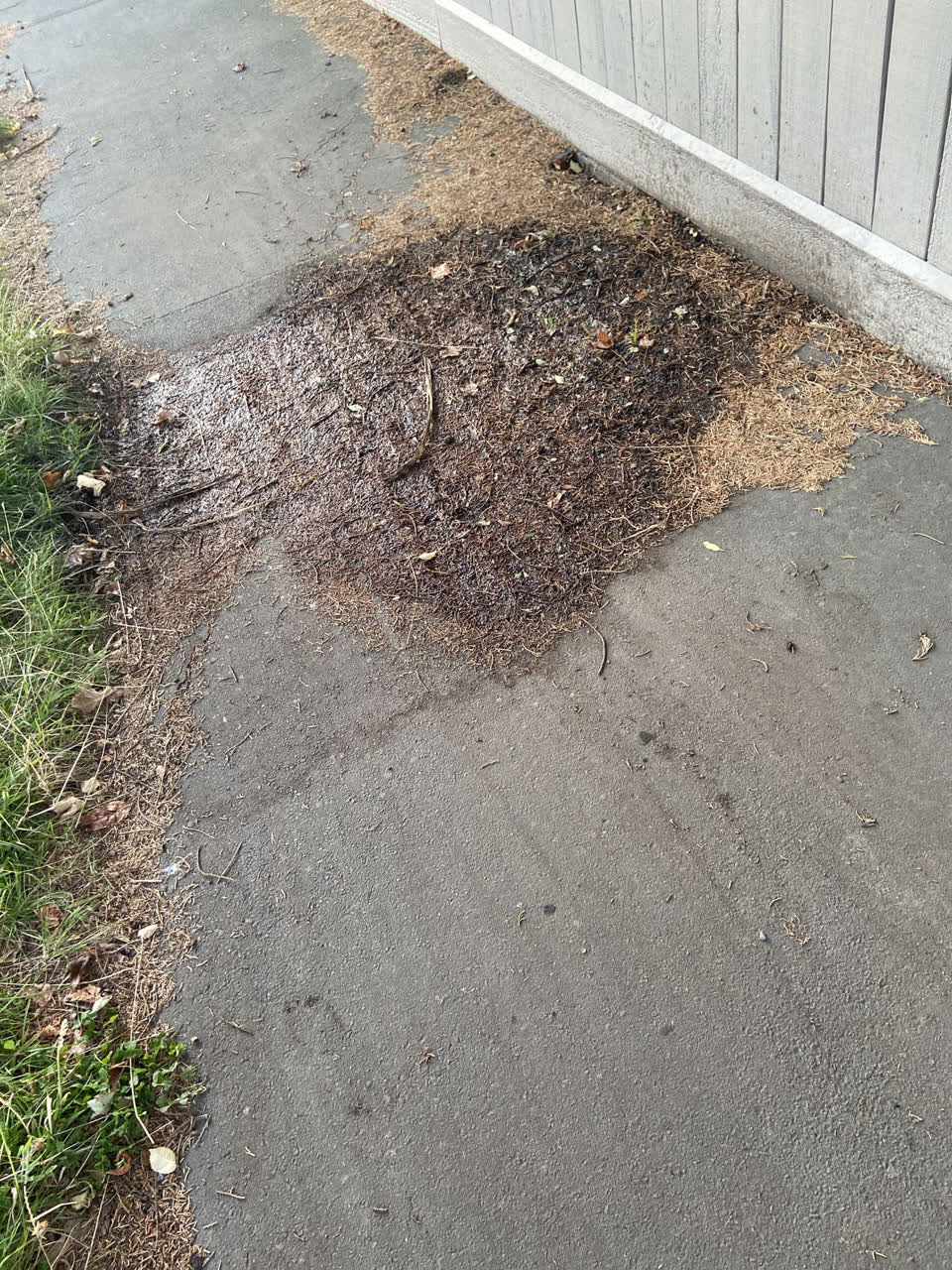 The photograph attached to this water leak report