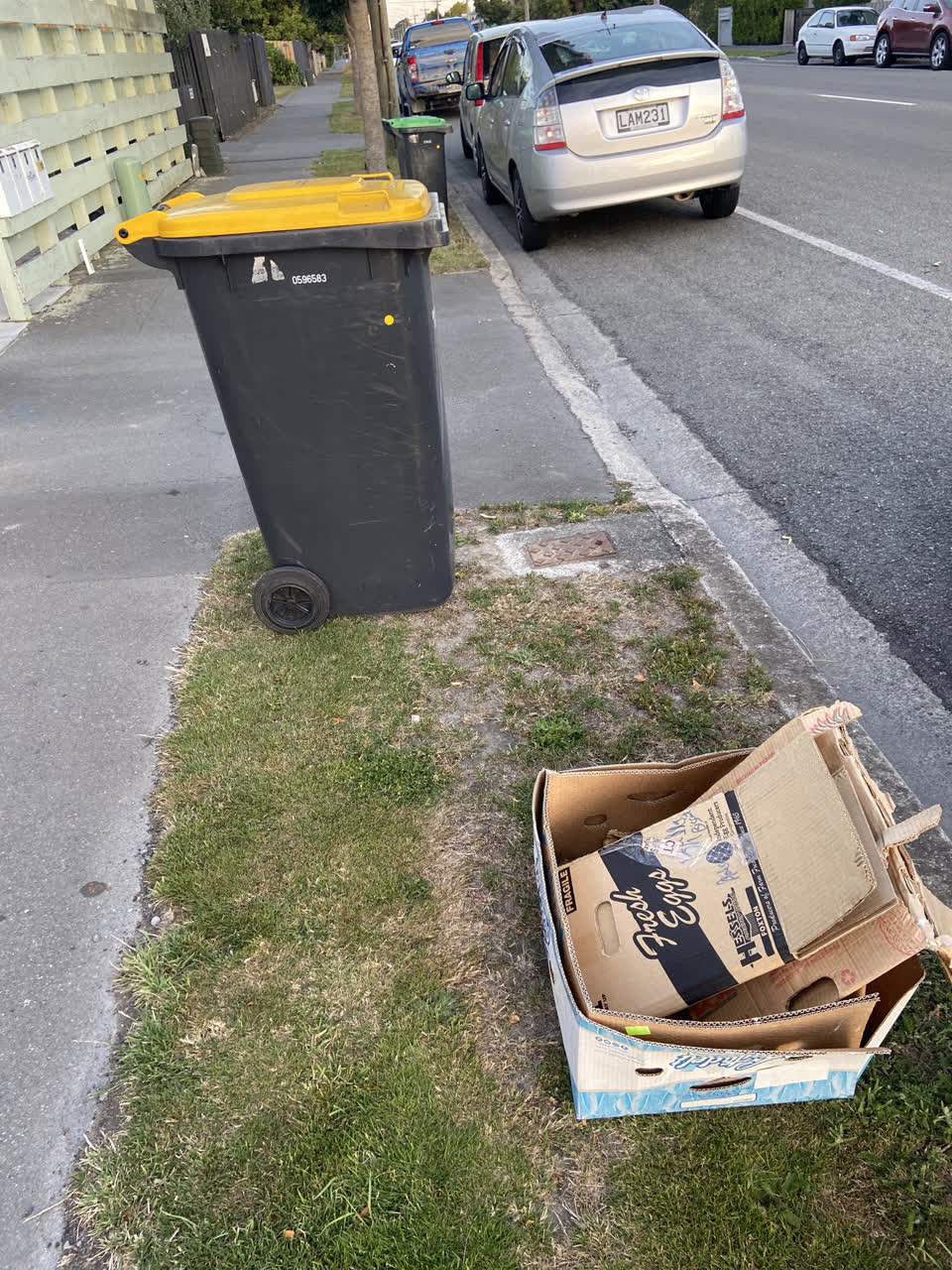 The photograph attached to this rubbish/recycling report