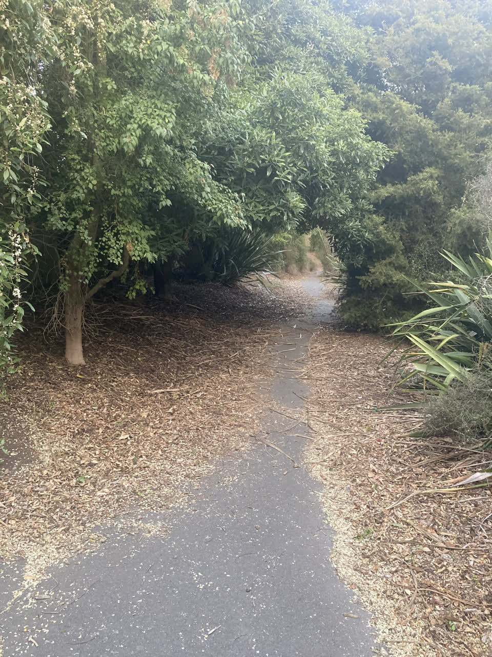 The photograph attached to this parks report