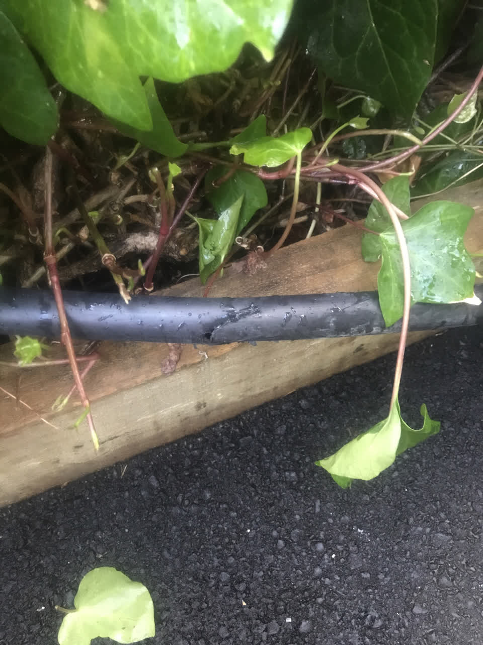 The photograph attached to this water leak report