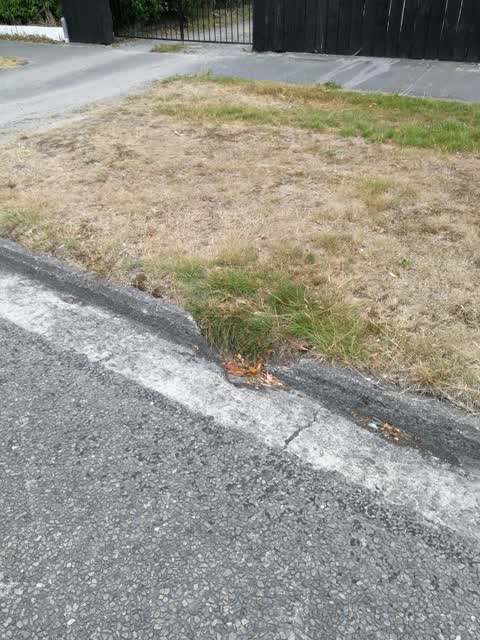 Roading/Streets, a report photo