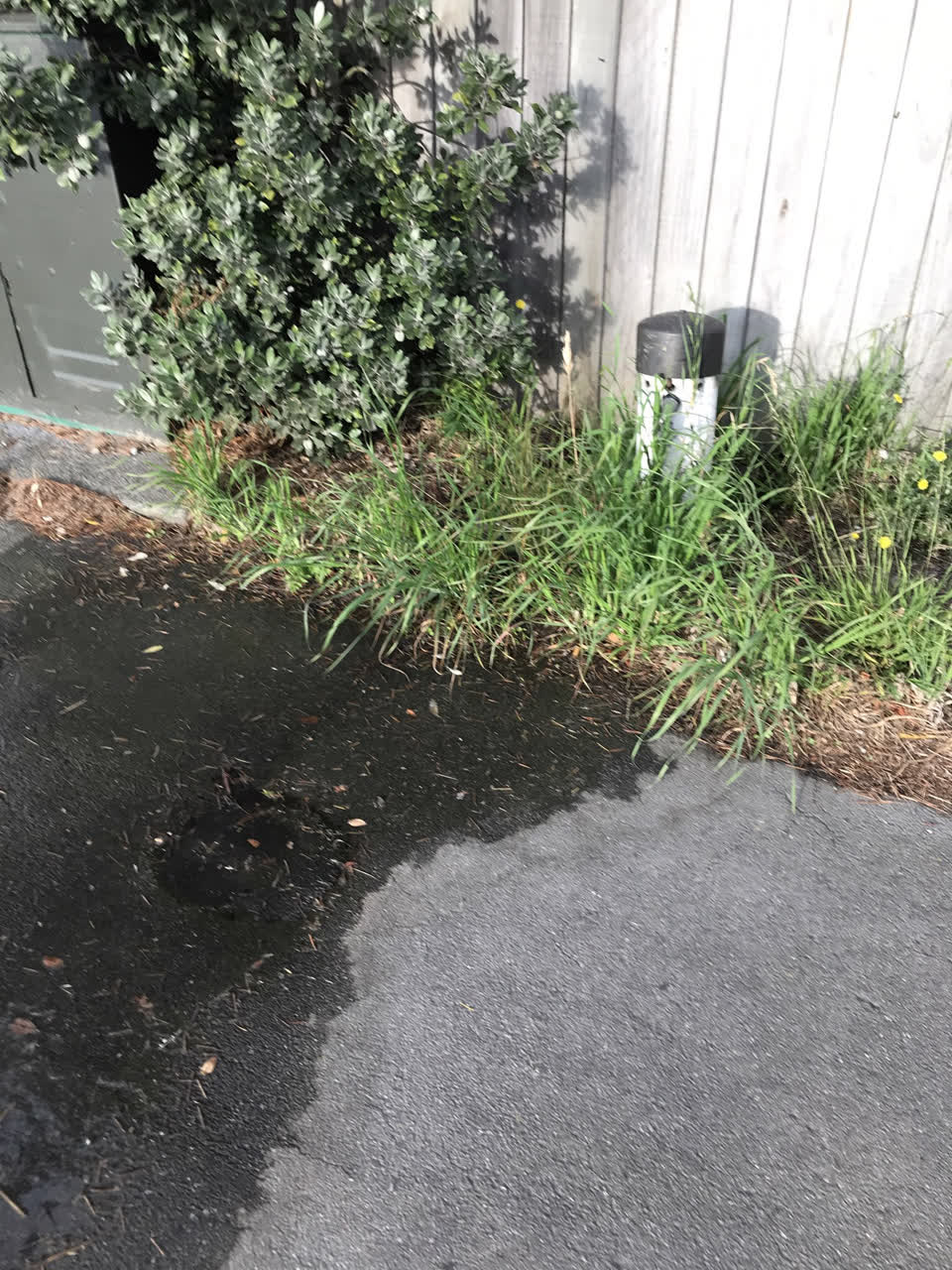 The photograph attached to this water leak report