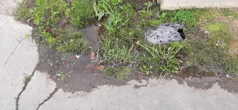 Water Leak, a report photo
