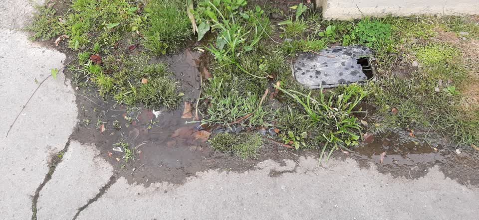 The photograph attached to this water leak report