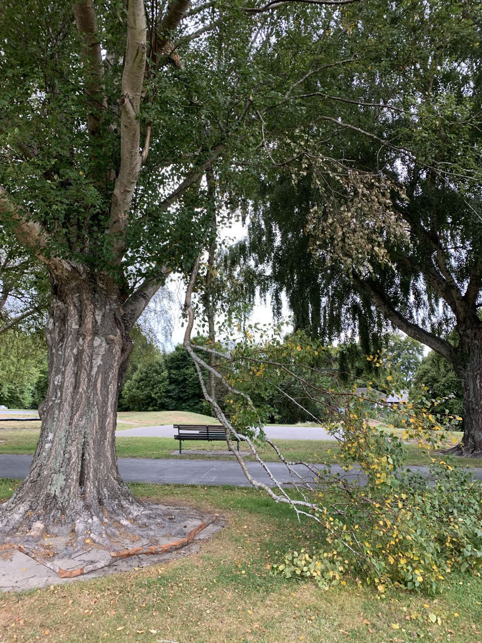 The photograph attached to this parks report
