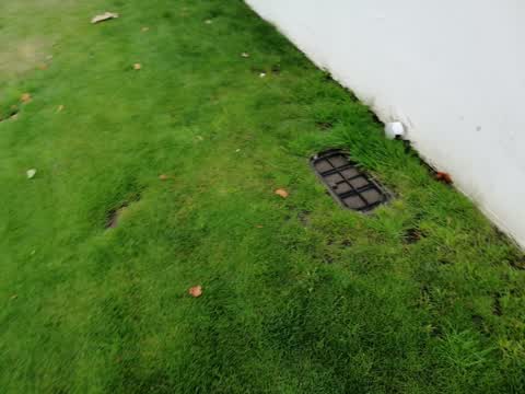 Water Leak, a report photo