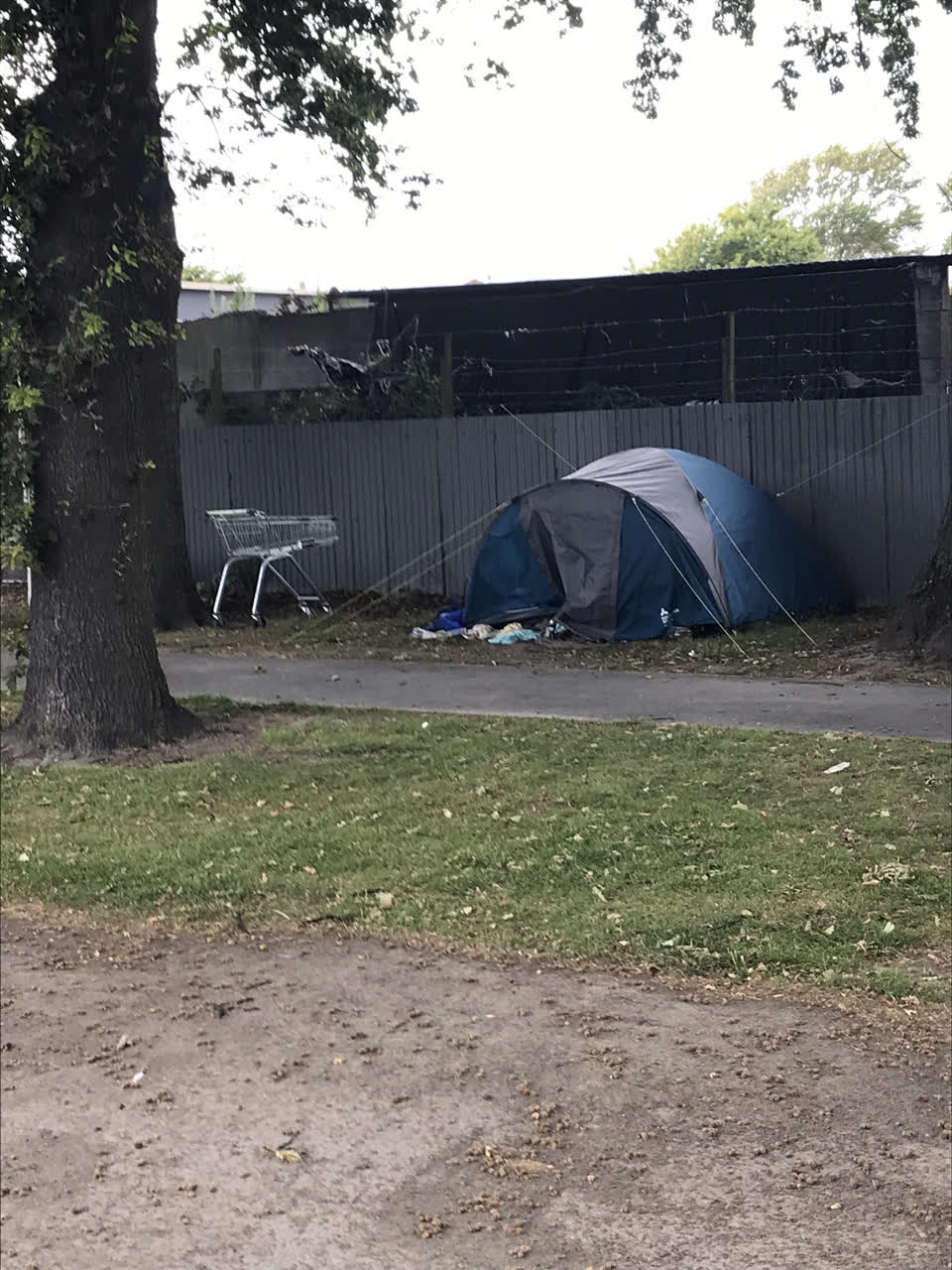 The photograph attached to this parks report