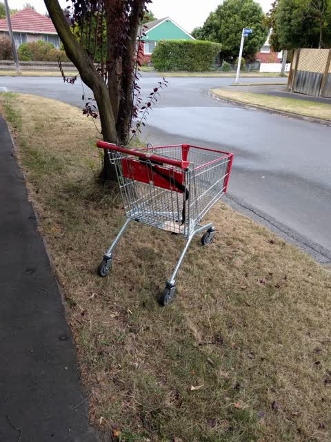 Rubbish/Recycling, a report photo