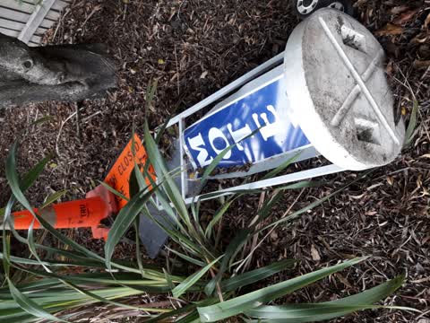 Rubbish/Recycling, a report photo