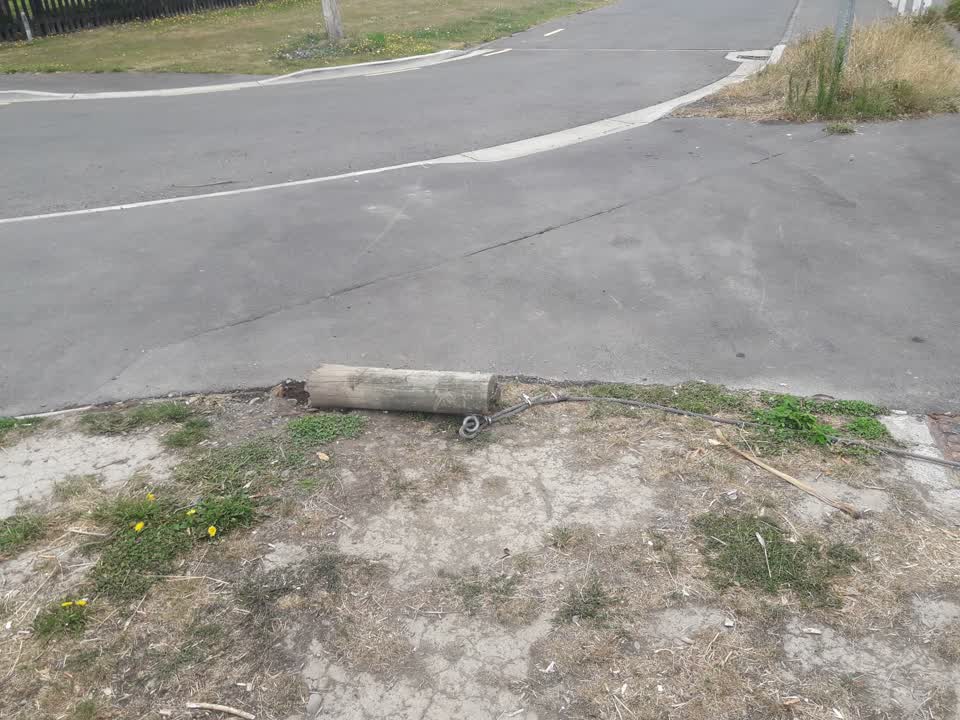 The photograph attached to this parks report