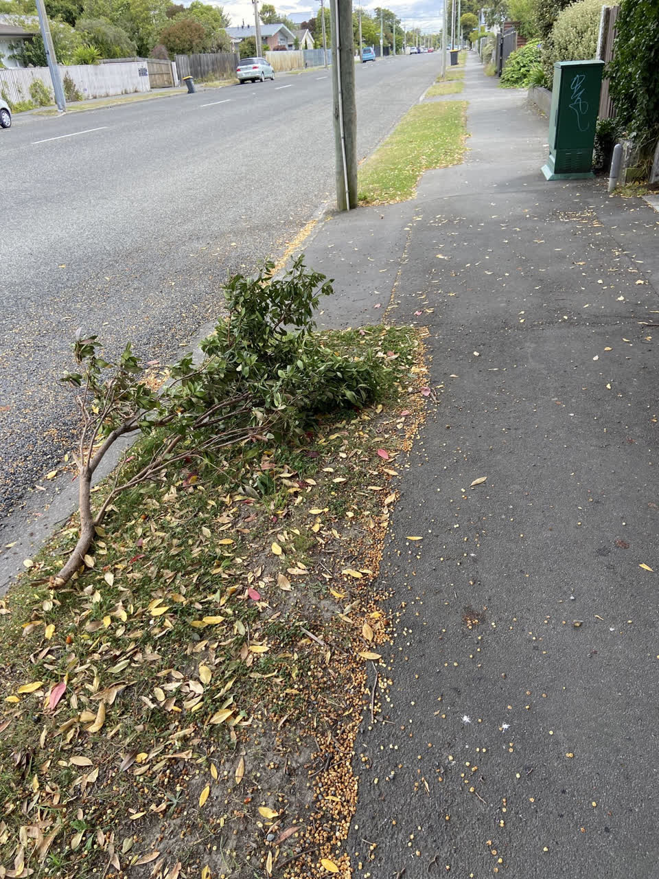 The photograph attached to this roading/streets report