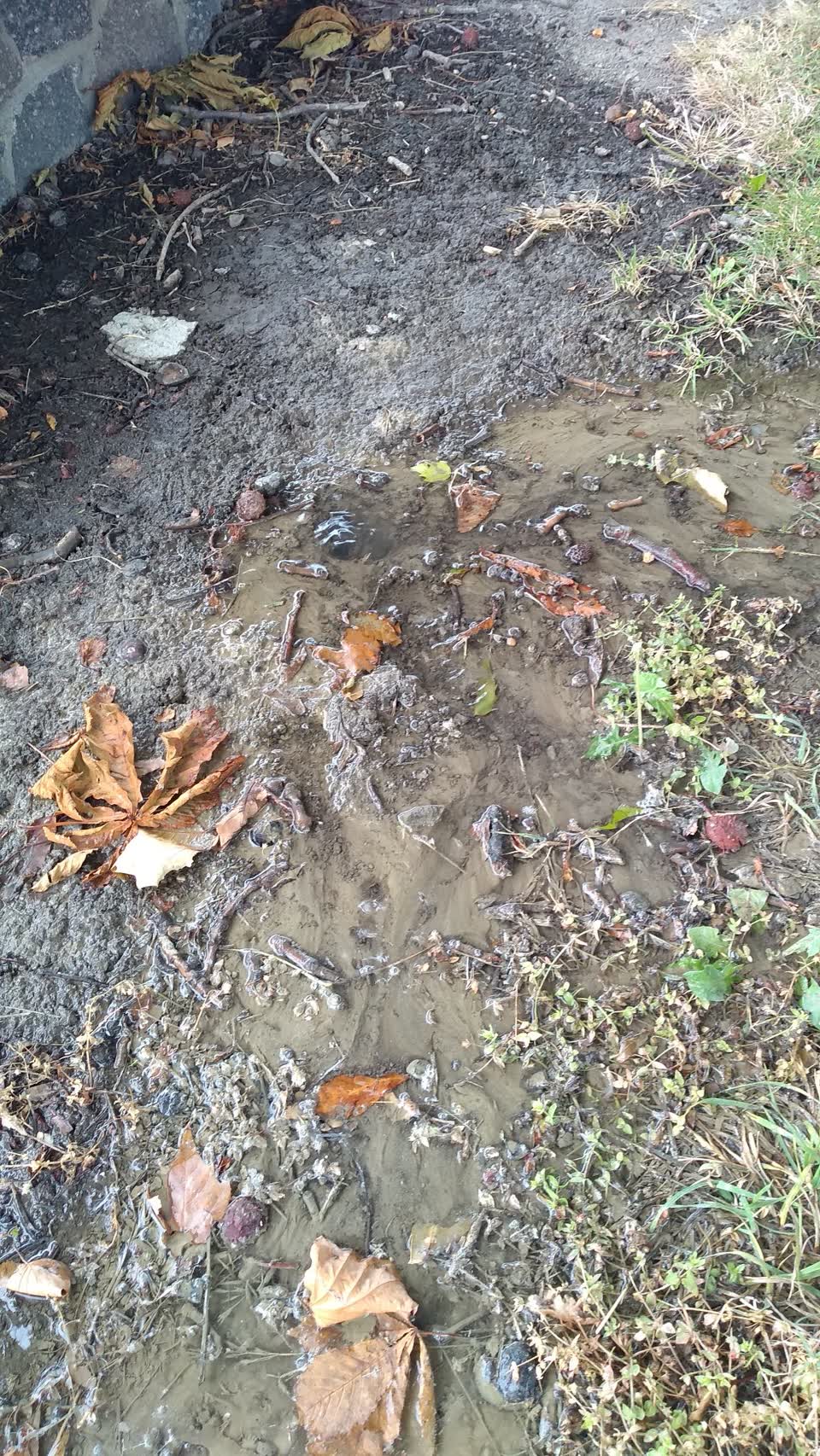 The photograph attached to this water leak report