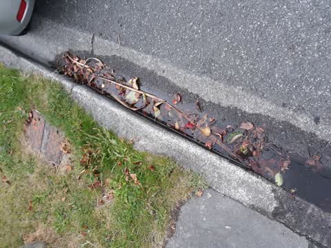 Water Leak, a report photo
