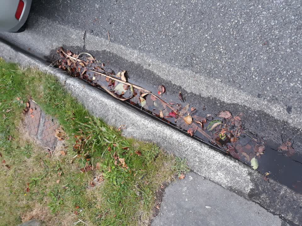 The photograph attached to this water leak report