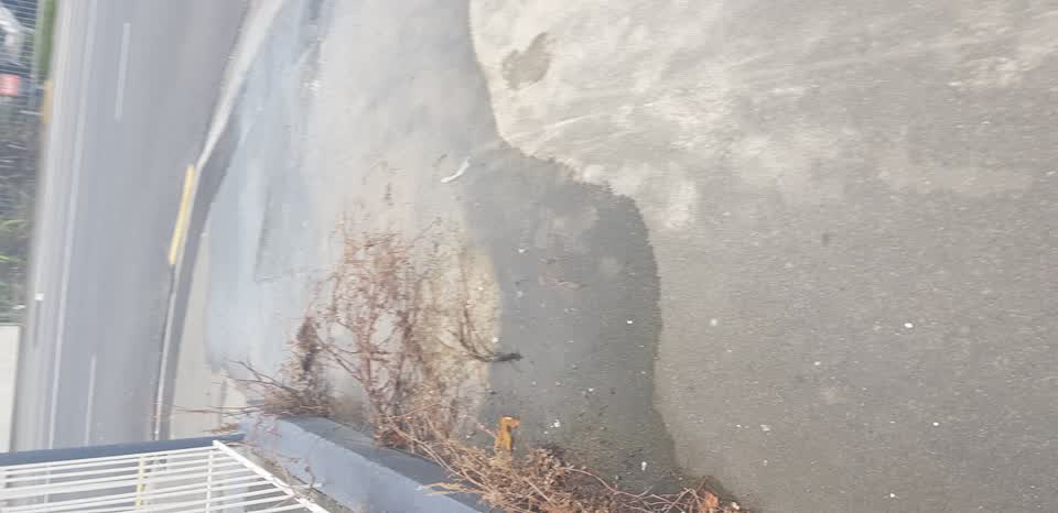 The photograph attached to this water leak report